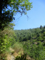 Vallon du Ruisseau de Balbonne