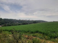 Vaste panorama vers l'église protestante de Wasmes