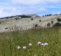 Ventoux côté sud