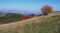 Vers le col de Branche