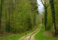 Vers le Dolmen