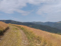 Vers le Rothenbrunnen et vue sur le Schnepfenried