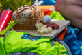 Sentier gourmand du Belchensteig (le plus beau sentier de randonnée d'Allemagne en 2020)