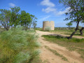 Vestige de moulin