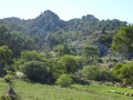 Vestiges de Glanum