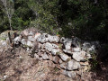 Vestiges de la cabane du charbonnier