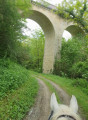 Le petit viaduc de Fromental aux Menoux