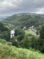 In the woods - The Wye Valley