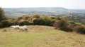 Brush Hill and the Ridgeway