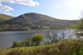 Around Loweswater Lake