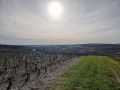 Les coteaux de Bailly