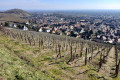 Promenade panoramique de l'Eichberg, du Brand et du Sommerberg