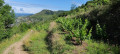 Le Causse de Salles-la-Source au départ de Pont-les-Bains