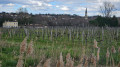 Vignoble et village des graves de Pessac-Léognan