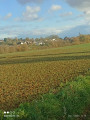 Le Bois de Bray et les marais