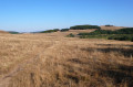 Voie Romaine et tourbière