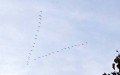 Vol de grues cendrées au dessus de Gézoncourt