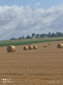 Autour du bois d'Habarcq