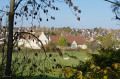 Vu sur le domaine de la Baronnie depuis la voie verte