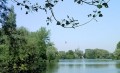 Vue sur le Marais de Biache