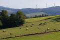 La Tête de Cochon au départ du Col du Pin Bouchain