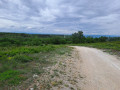 Vue dans le r&eacute;tro