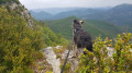 Vue de la lance sur le massif de la forêt de Saou