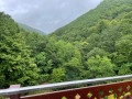 Vue de la passerelle sur la verdure