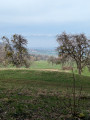 Vue de la vallée du Genevois