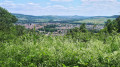 Vue de Pagny-sur-Moselle