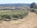 Villelongue-d'Aude