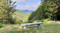 Vue depuis la source après le chalet du Collet de l'étang