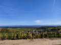 Vue depuis le Château du Wineck