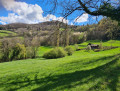 vue des alpages autour de Pressembois