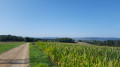 Vue des hauteurs de la LInette