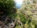 Vue des ruines du chateau de Drap