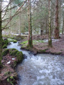 De Besse-et-Saint-Anastaise au Lac Pavin