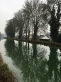 Vue du canal du Loing vers l'écluse de Bagneaux