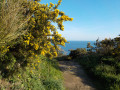 Boucle du Palus par la Pointe de Plouha