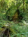 Vue du Moulin de la Douime