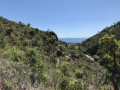 Vue du pont en début de chemin