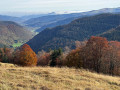 Vue du steinwasen