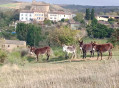 vue du village