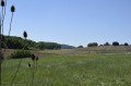 La balade des Champs Cerisiers et du Bois de Vétrigne à Offemont
