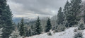 Du Gaschney au Lac du Schiessrothried