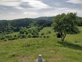 Vue sur le grand ballon