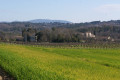 La Vieille Cité de Monteils