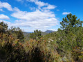 Vue panoramique sur le massif de la Loube