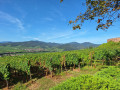 Vue sur Ammerschwihr et les Vosges Alsaciennes