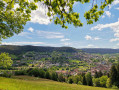 Vue sur Baiersbronn